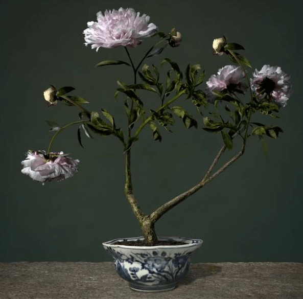 靜物攝影範例二 靜物攝影範例二